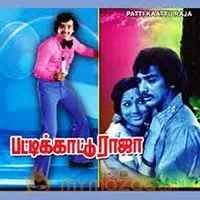 Konjum kili vanthathu