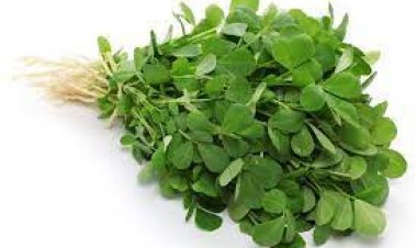 வெந்தயகீரை சாப்பிடுவதினால் உடலில்  ஏற்படும் நன்மைகள்.