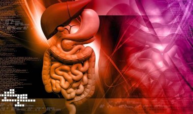 மலச்சிக்கலில் இருந்து நிரந்தர தீர்வு தரும் புளிச்ச கீரை.