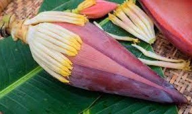 வாழைப்பூ சாப்பிடுவதால் உண்டாகும் நன்மைகள்.