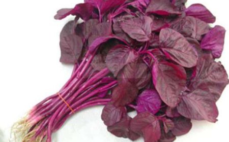 தண்டுக்கீரை சாகுபடி முறை மற்றும் பயன்கள்