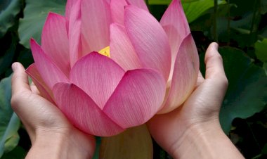 தினம் மனம் மலர ஆன்மிக சிந்தனை