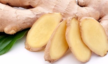 மாடித் தோட்டம் இஞ்சி பயிரிடும் முறை