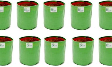 மாடித்தோட்டத்தில் காய்கறி வளர்க்கும் பைகளை ஆன்லைனில் வாங்கலாமா?